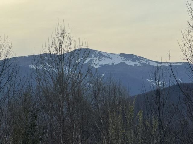 Property Photo:  K41 Christmas Mountain Road  NH 03812 