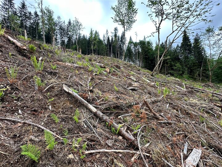 Property Photo:  0 S Carpenter Road  WA 98280 