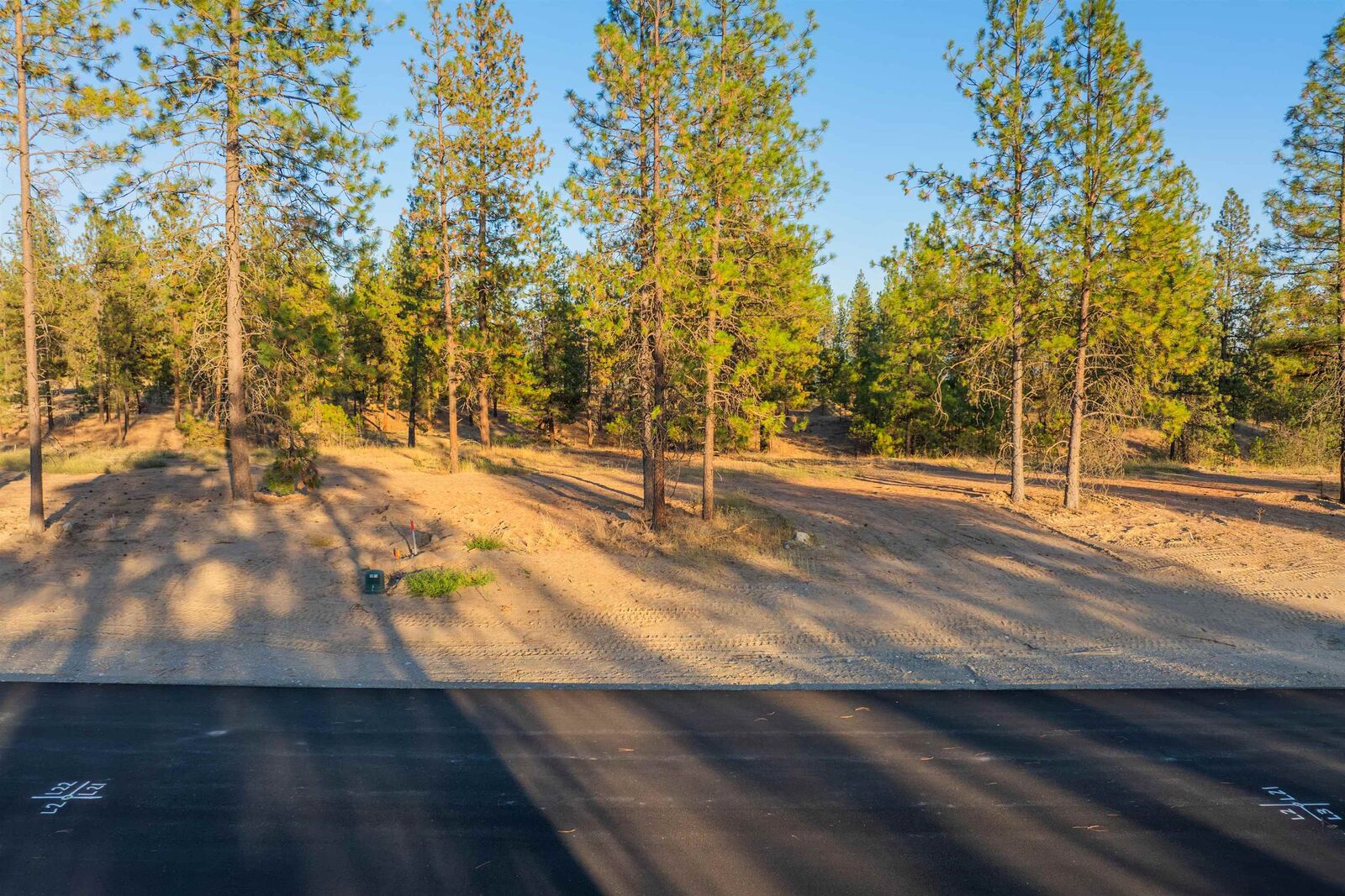 Property Photo:  Lot 37 Legacy Way  WA 99026 