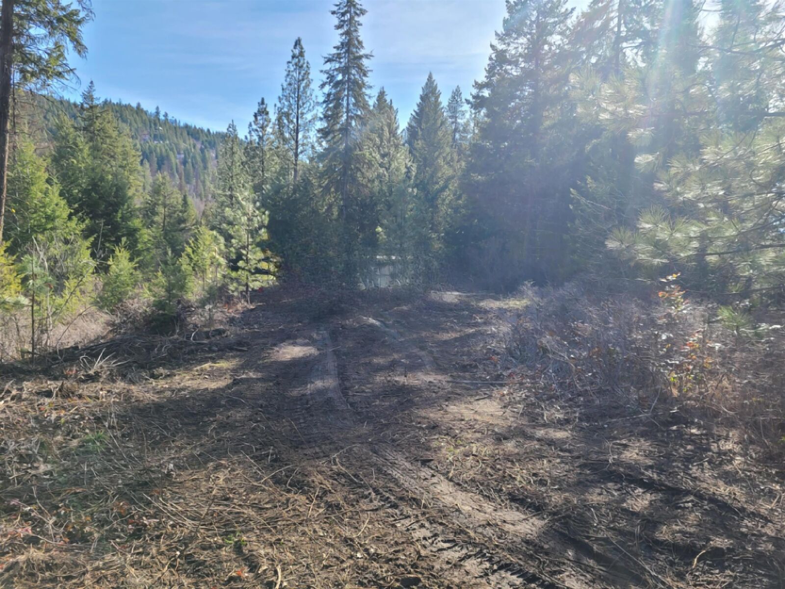 Property Photo:  2584-F Bridgeman Rettinger Rd  WA 99141 