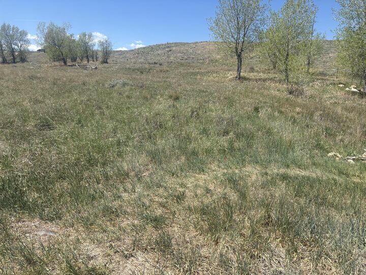 Property Photo:  110 Watkins Street  WY 82834 