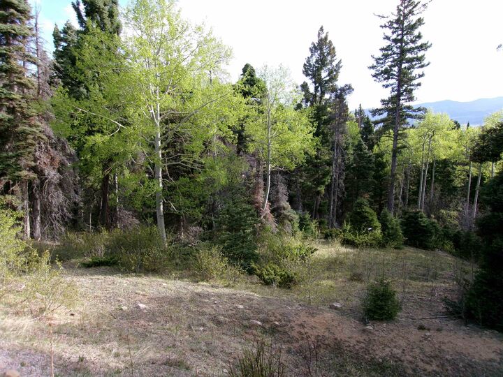 Property Photo: 60 Brazos Dr NM 87710