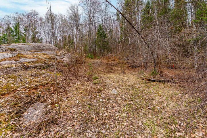 Property Photo:  0 Brady Lake Road  ON K0M 2K0 