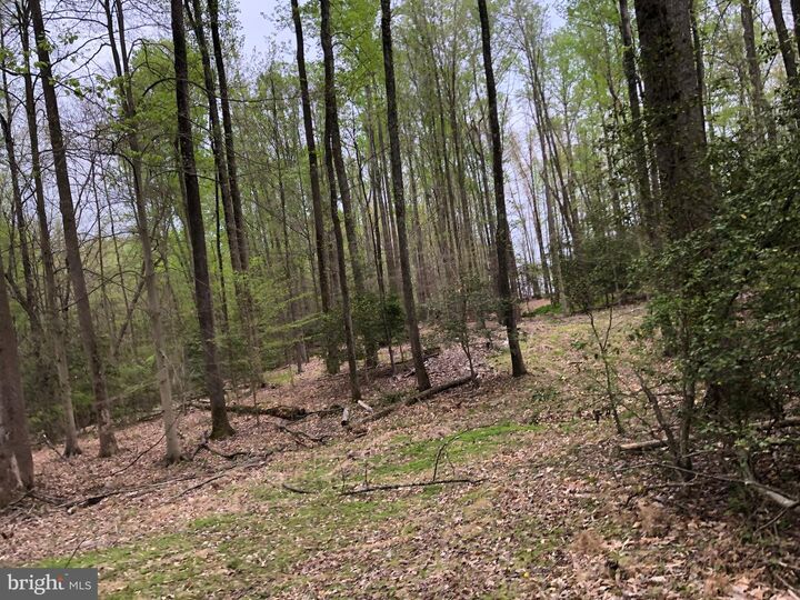Property Photo: 9045 Genevieve Drive MD 20695