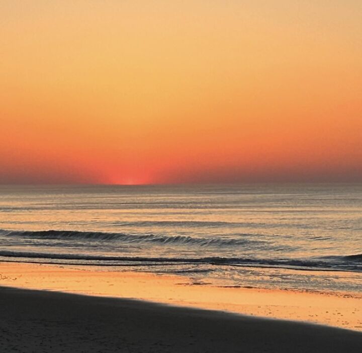 Property Photo: 2401 S Ocean Blvd. 1170 SC 29577