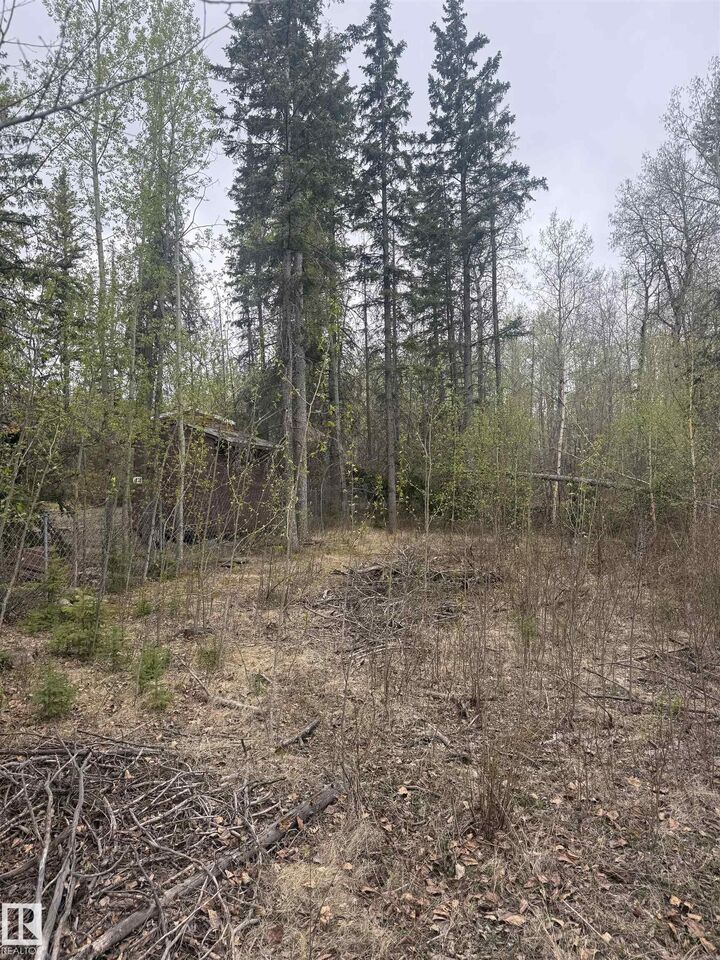 Property Photo:  445 Lakeview Drive  AB T0E 1V0 