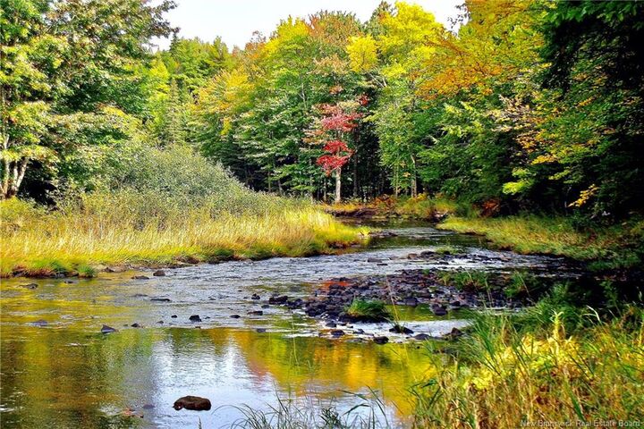 Lot Rte 520 Coates Mills — photo 1