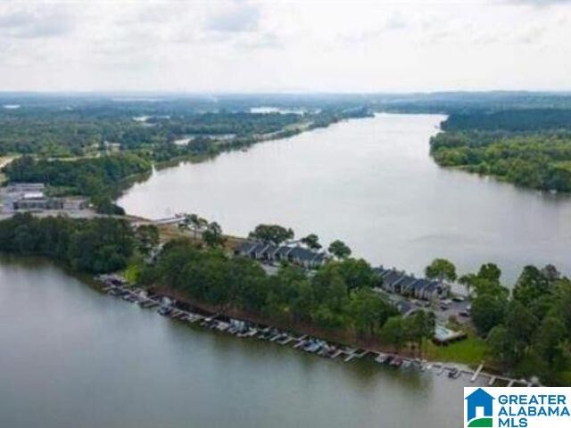 Property Photo: 404 Paradise Isle 404 AL 35135