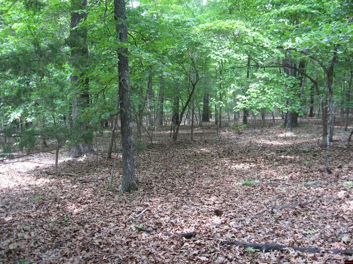 Property Photo:  002-02922-007 Arapaho Drive  AR 72623 
