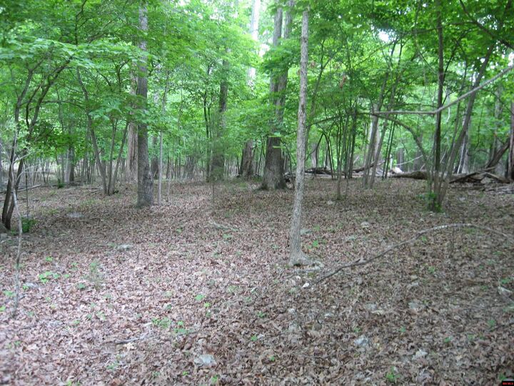 Property Photo:  Lot L Potawatomie Trail  AR 72623 