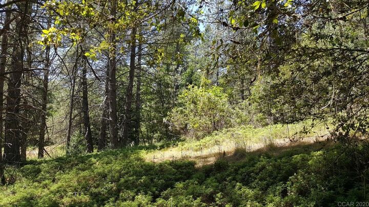Property Photo:  0 Deardorff Road  CA 95232 