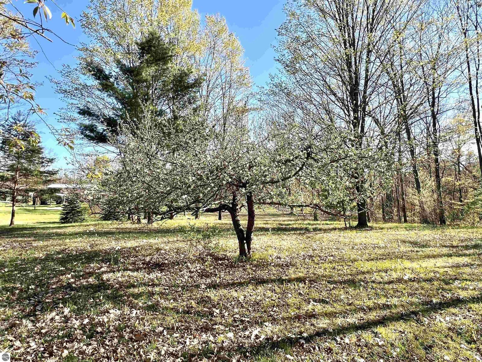Property Photo:  1718 N Saddler Road  MI 49656 