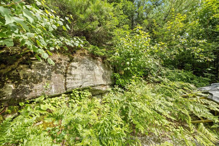 Property Photo:  5 Arrow Ridge Road  ON P1L 1L8 