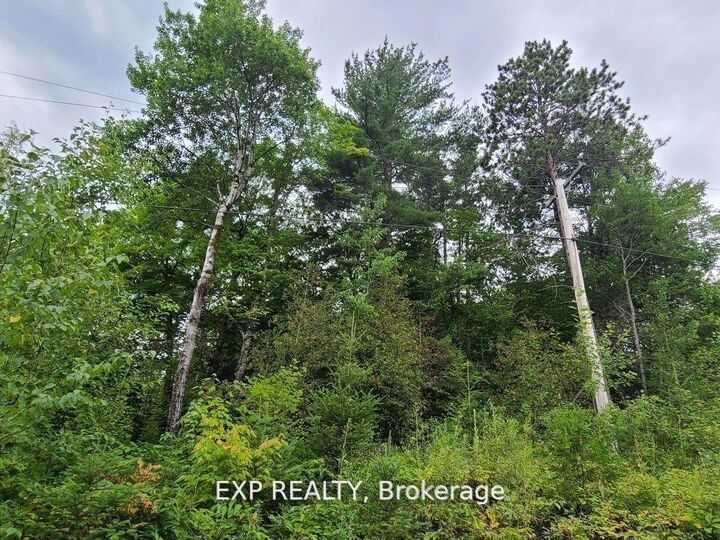 20 Peplinskie Homestead Road — photo 1