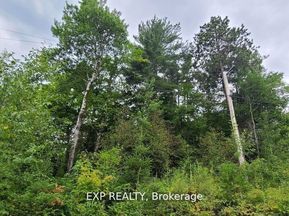 Property Photo:  20 Peplinskie Homestead Road  ON K0J 1B0 