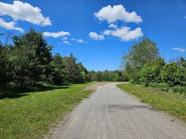 Property Photo:  42 Elgin Street N  ON K0E 1B0 