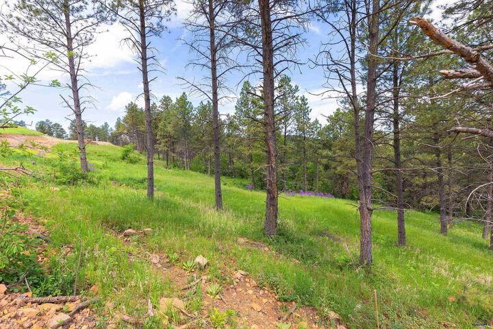 Property Photo:  1136 Pinnacle Ct  SD 57701 