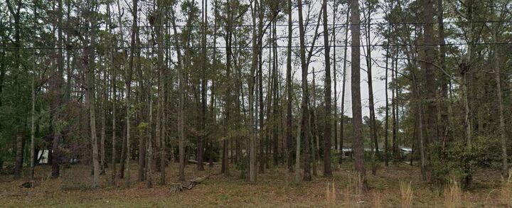 Property Photo:  0-3 Hazel Street  SC 29488 