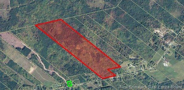 Property Photo:  Lot Route 435  NB E1V 4X2 