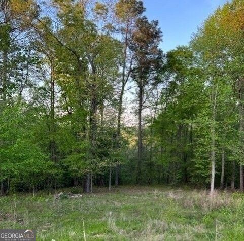 Property Photo:  1628 Alcovy Ridge Crossing Crossing  GA 30052 