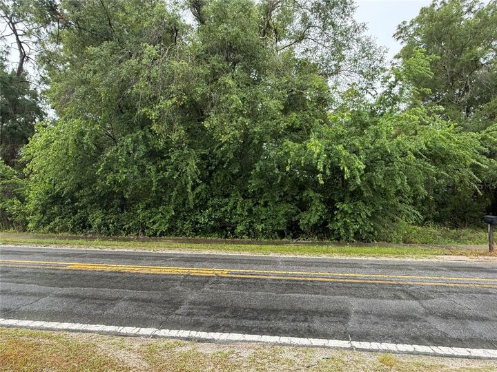 Property Photo:  34184 Ridge Manor Blvd  FL 33523 