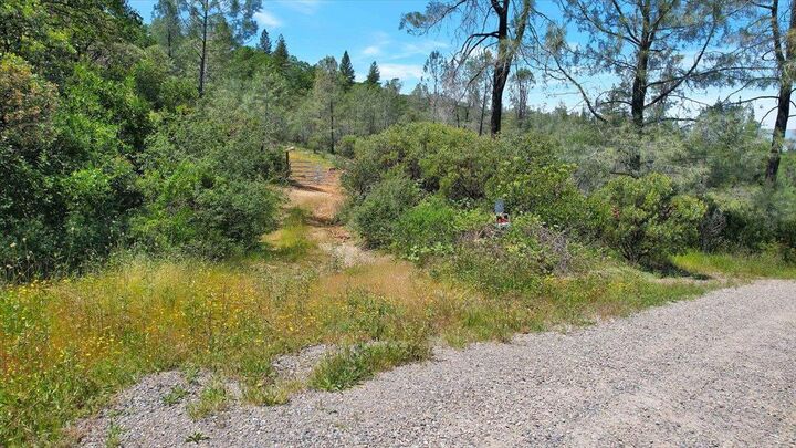 Property Photo:  12934 Wild Acres Way  CA 95962 