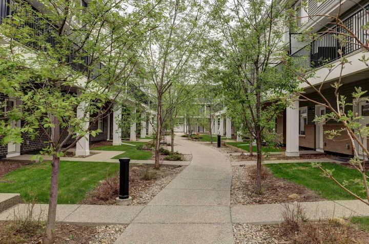 Property Photo:  50 Cornerstone Passage NE 705  AB T3N 2G1 