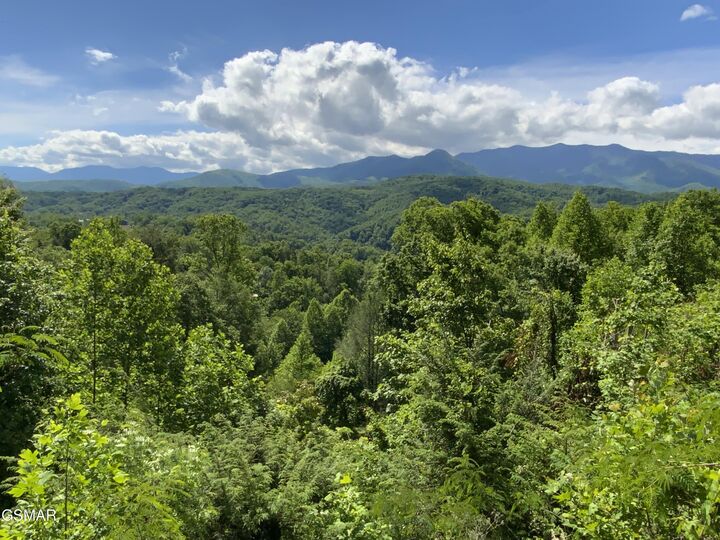 Property Photo:  505 Crest Road  TN 37738 