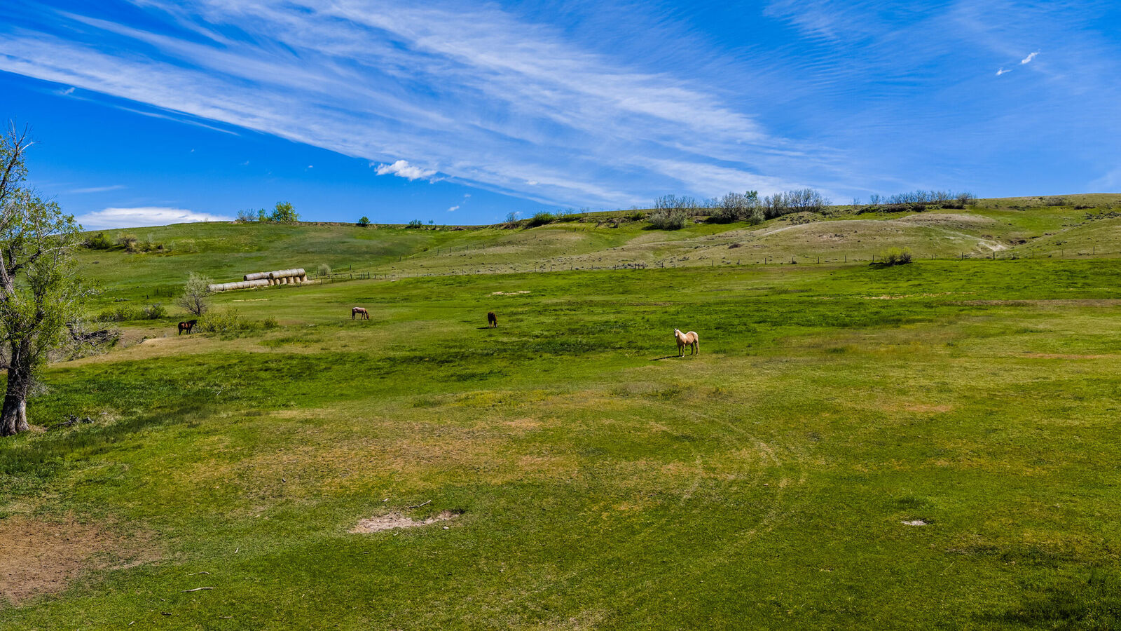 Property Photo:  