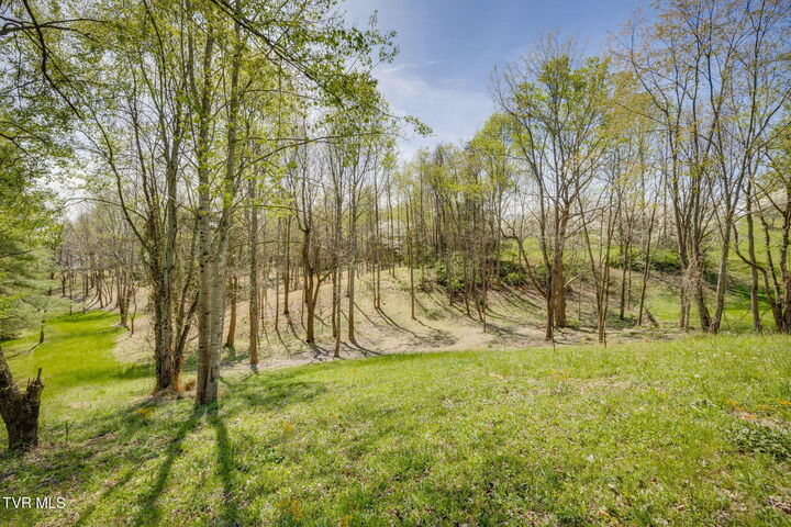 Property Photo:  Tbd Chaucer Court  TN 37615 