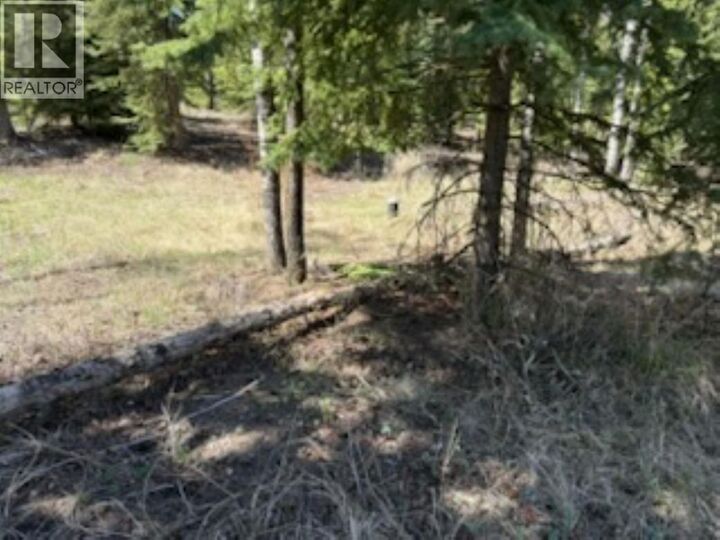 Property Photo:  Lot 2 Horse Lake Road  BC V0K 2E1 