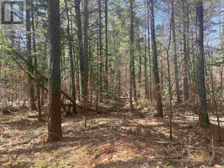Property Photo:  843 Airport Rd  ON P6A 5K6 