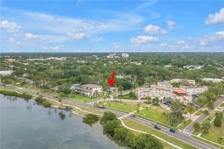 Property Photo:  220 Lyndhurst Street  FL 34698 