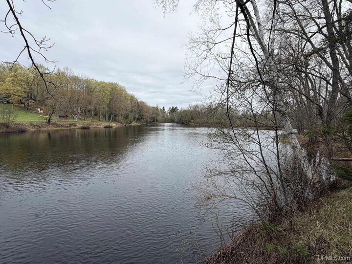 Property Photo:  6803 Willet Lane  MI 49879-9075 