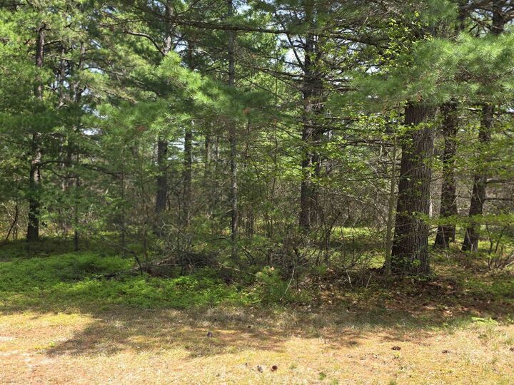 Property Photo: 23 Logan Way NH 03864