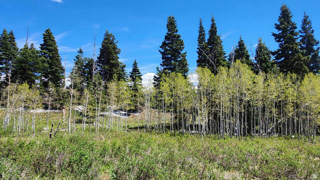 Property Photo:  79 E Thads Peak Dr S J50  UT 84629 
