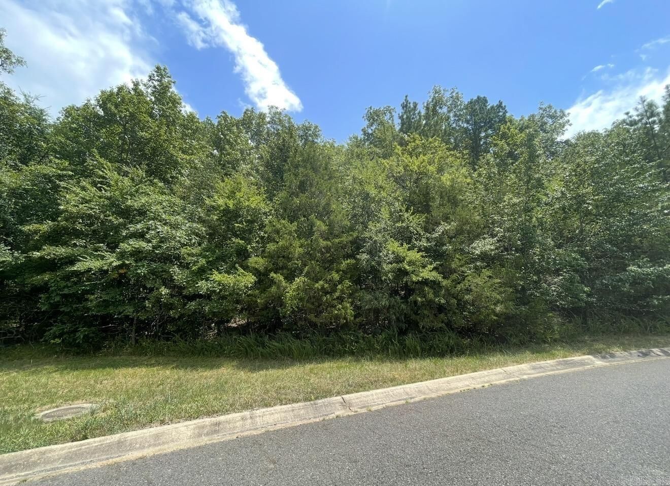 Property Photo:  Lot #36 Saratoga  AR 71901 