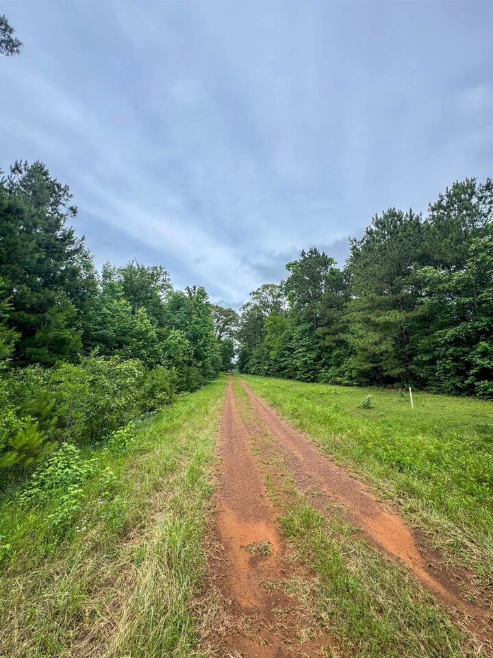 Property Photo:  0000 Private Road 7381  TX 75639 