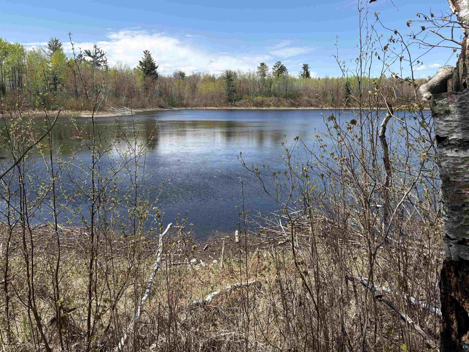 Property Photo:  854X W Chub Lake Rd  MN 55718 