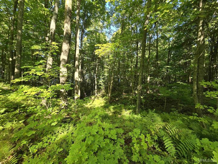 Property Photo: Unit 12 Redridge Creek Road MI 49905