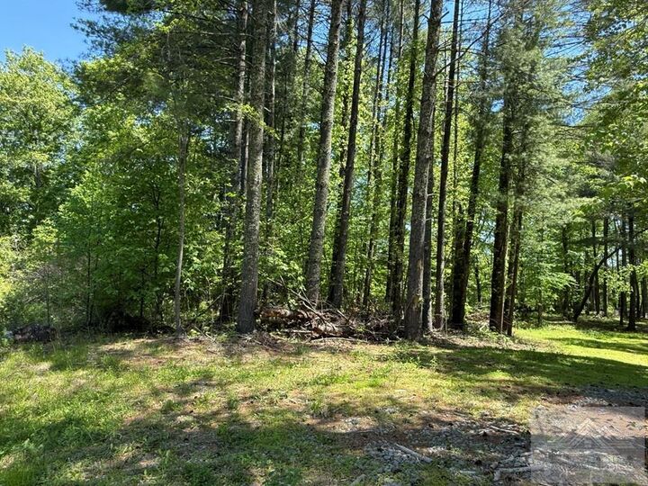 Property Photo:  0 Browning Lambert Mountain  WV 24747 