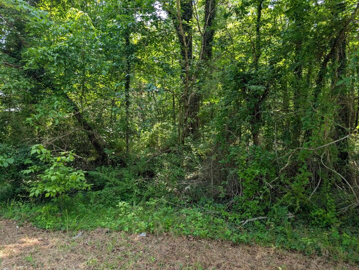 Property Photo:  0 Gum Street  TN 37387 