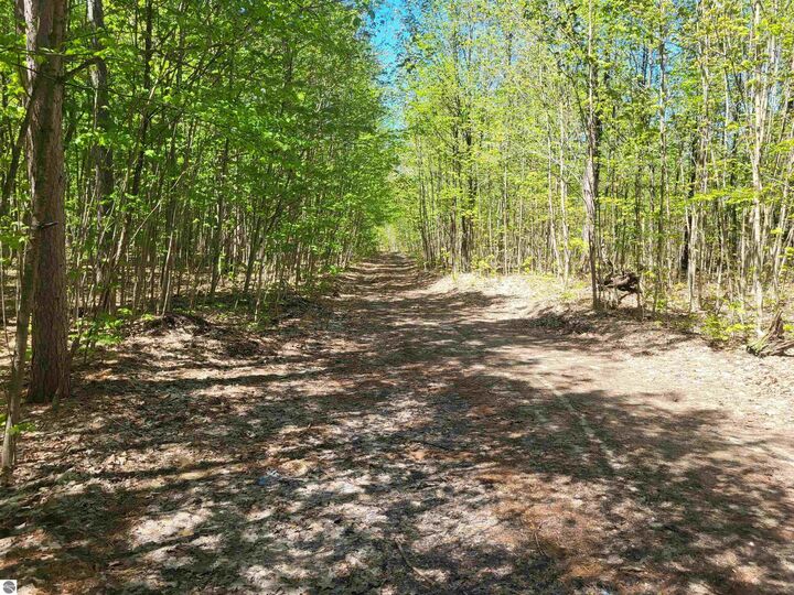 Property Photo:  00 N Hulbert Road  MI 49643 