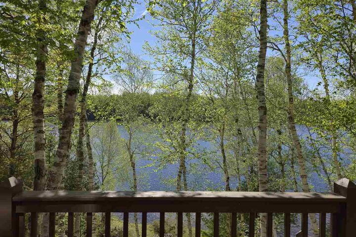 Property Photo: 1715 Marion Hills MI 49720-0000