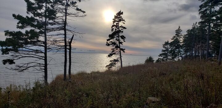 Property Photo:  10755 Shore (Rte 4) Road  PE C0A 1W0 