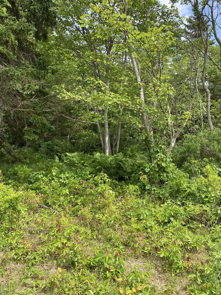 Property Photo:  Maclean Road Lot  PE C0B 1V0 