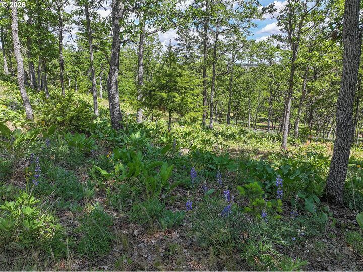 Property Photo:  Thompson Trail  WA 98620 