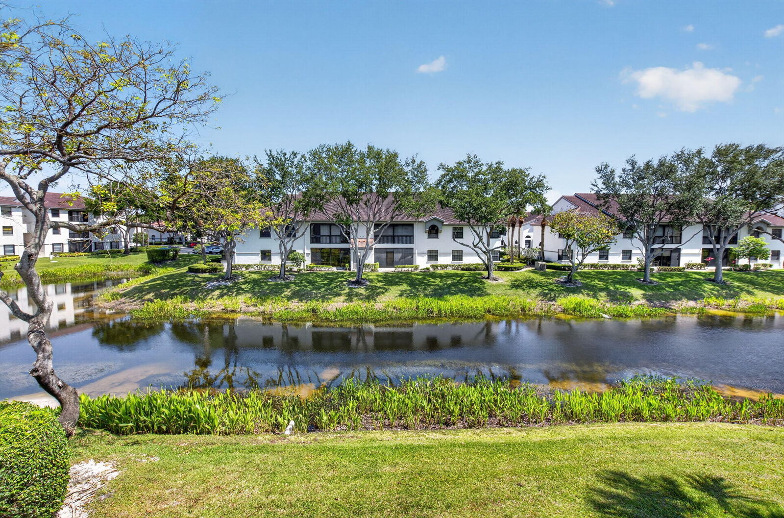 Property Photo:  5153 Floria Drive M  FL 33437 