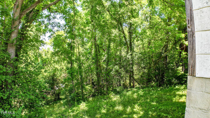 Property Photo:  321 Leonard Street  TN 37745 