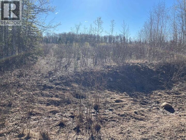 Property Photo:  170 McConachie Creek Road  BC V0C 1R0 